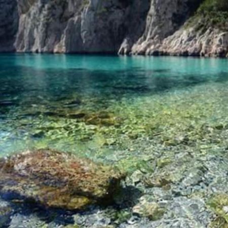 L'Odyssee Bleue Vue Mer Cassis Eksteriør billede
