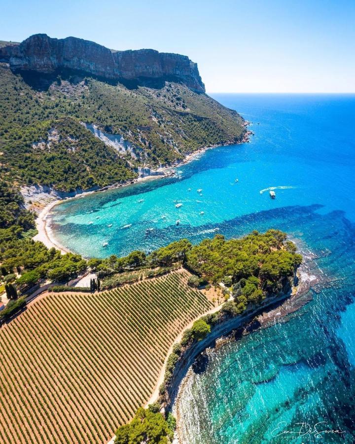 L'Odyssee Bleue Vue Mer Cassis Eksteriør billede