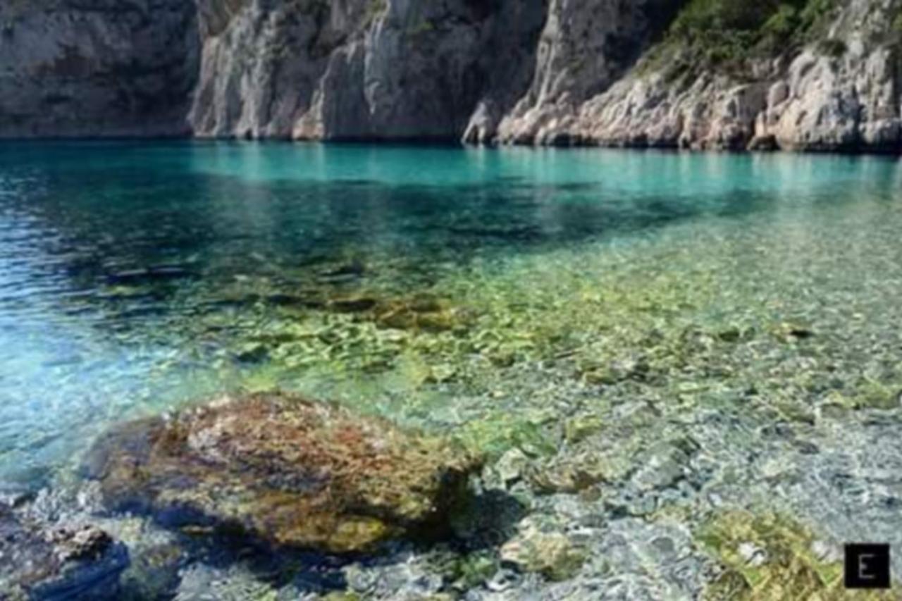 L'Odyssee Bleue Vue Mer Cassis Eksteriør billede